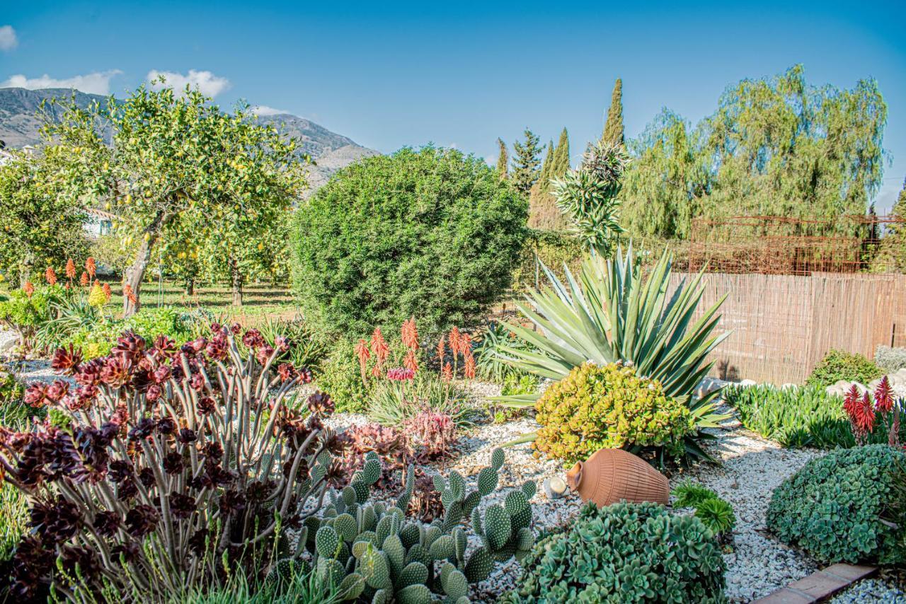 Finca El Limonar อะโลรา ภายนอก รูปภาพ