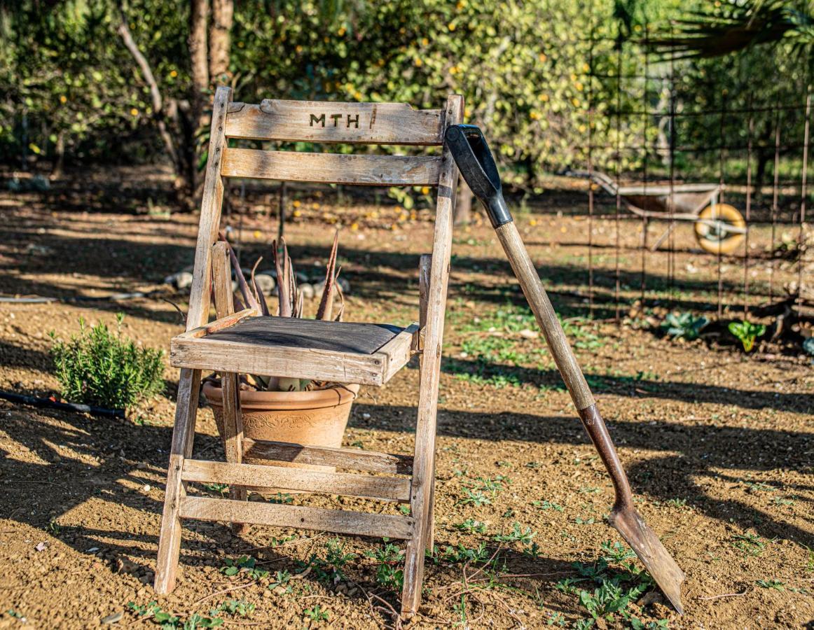 Finca El Limonar อะโลรา ภายนอก รูปภาพ
