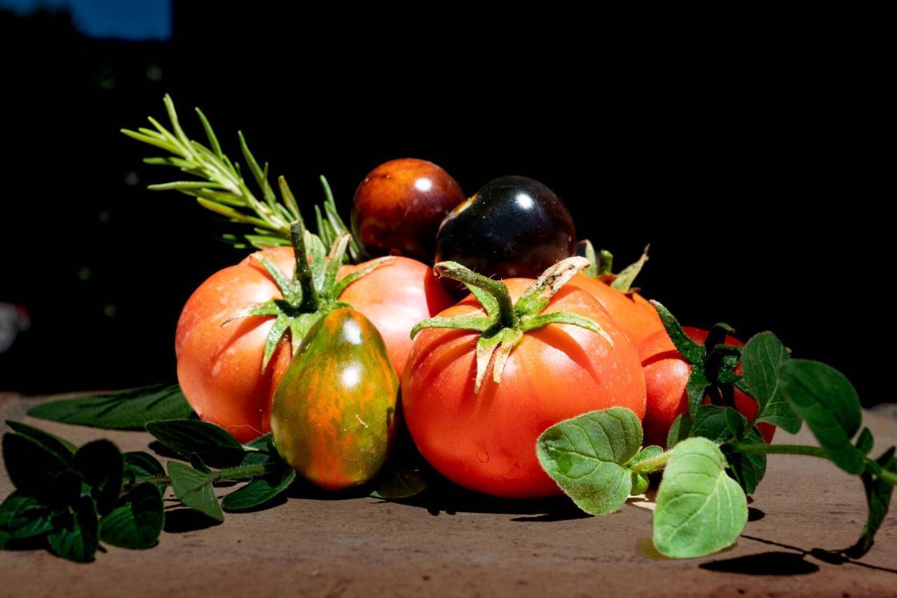 Finca El Limonar อะโลรา ภายนอก รูปภาพ