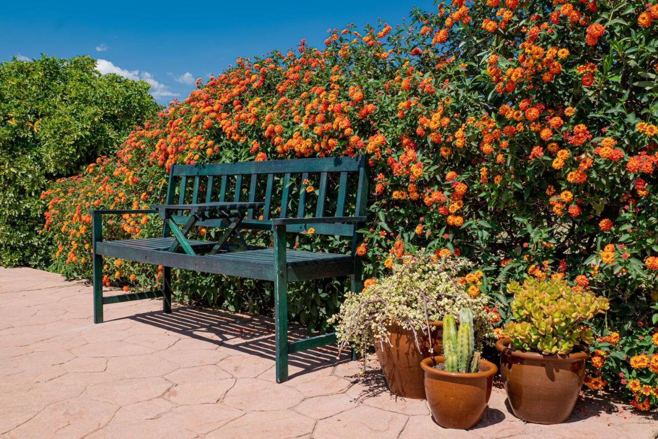 Finca El Limonar อะโลรา ภายนอก รูปภาพ