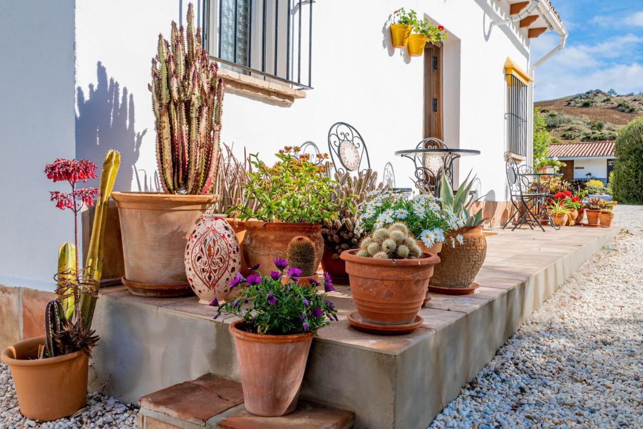Finca El Limonar อะโลรา ภายนอก รูปภาพ