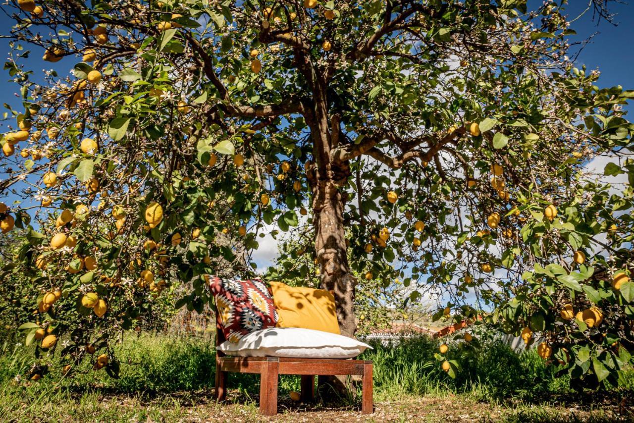 Finca El Limonar อะโลรา ภายนอก รูปภาพ