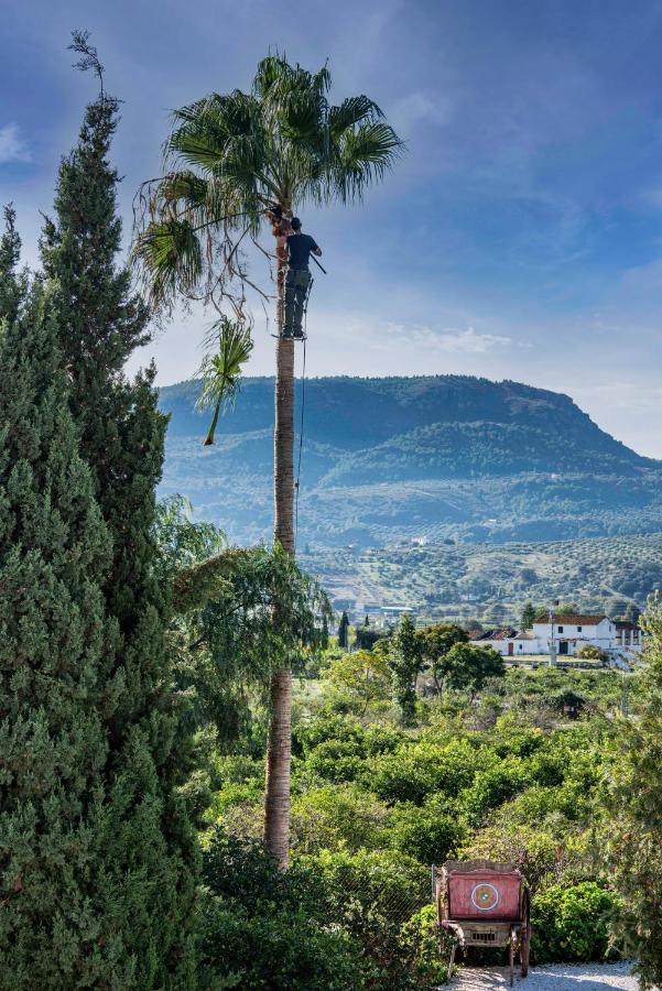 Finca El Limonar อะโลรา ภายนอก รูปภาพ