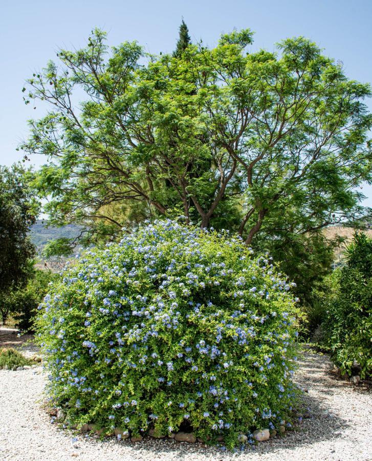 Finca El Limonar อะโลรา ภายนอก รูปภาพ