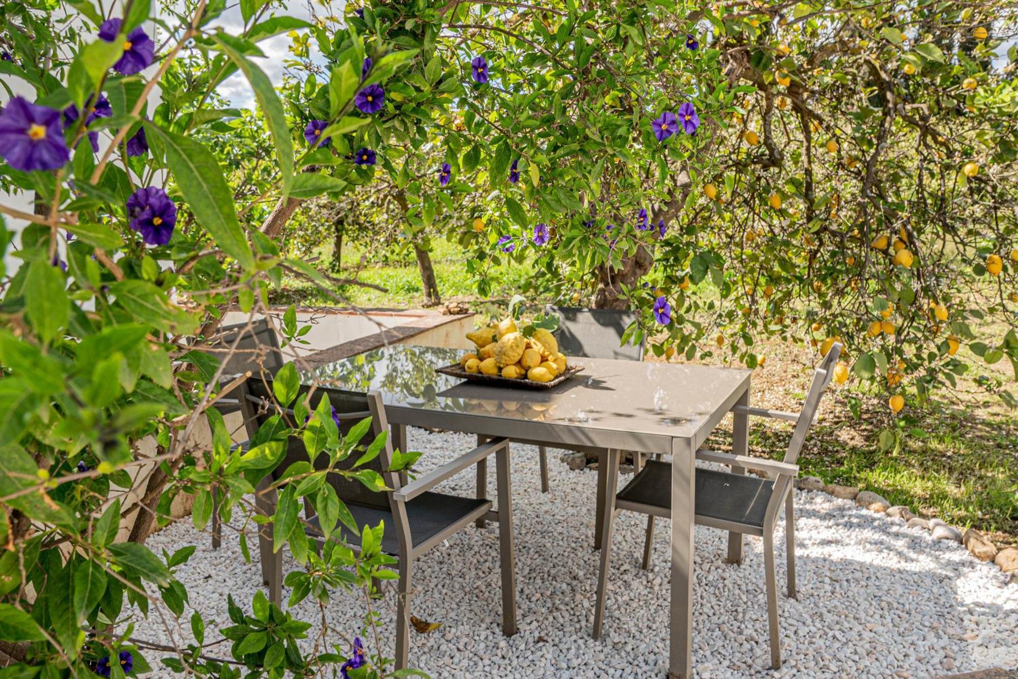 Finca El Limonar อะโลรา ภายนอก รูปภาพ