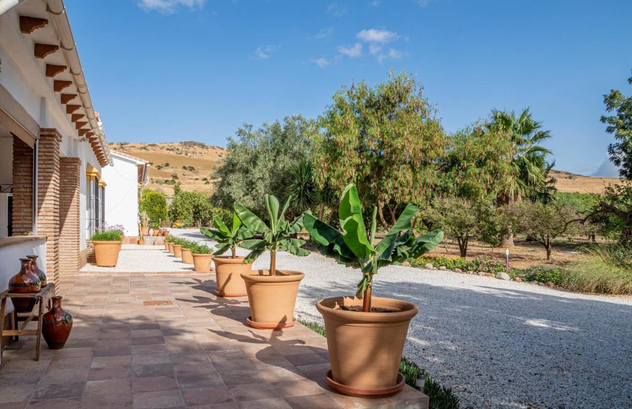 Finca El Limonar อะโลรา ภายนอก รูปภาพ