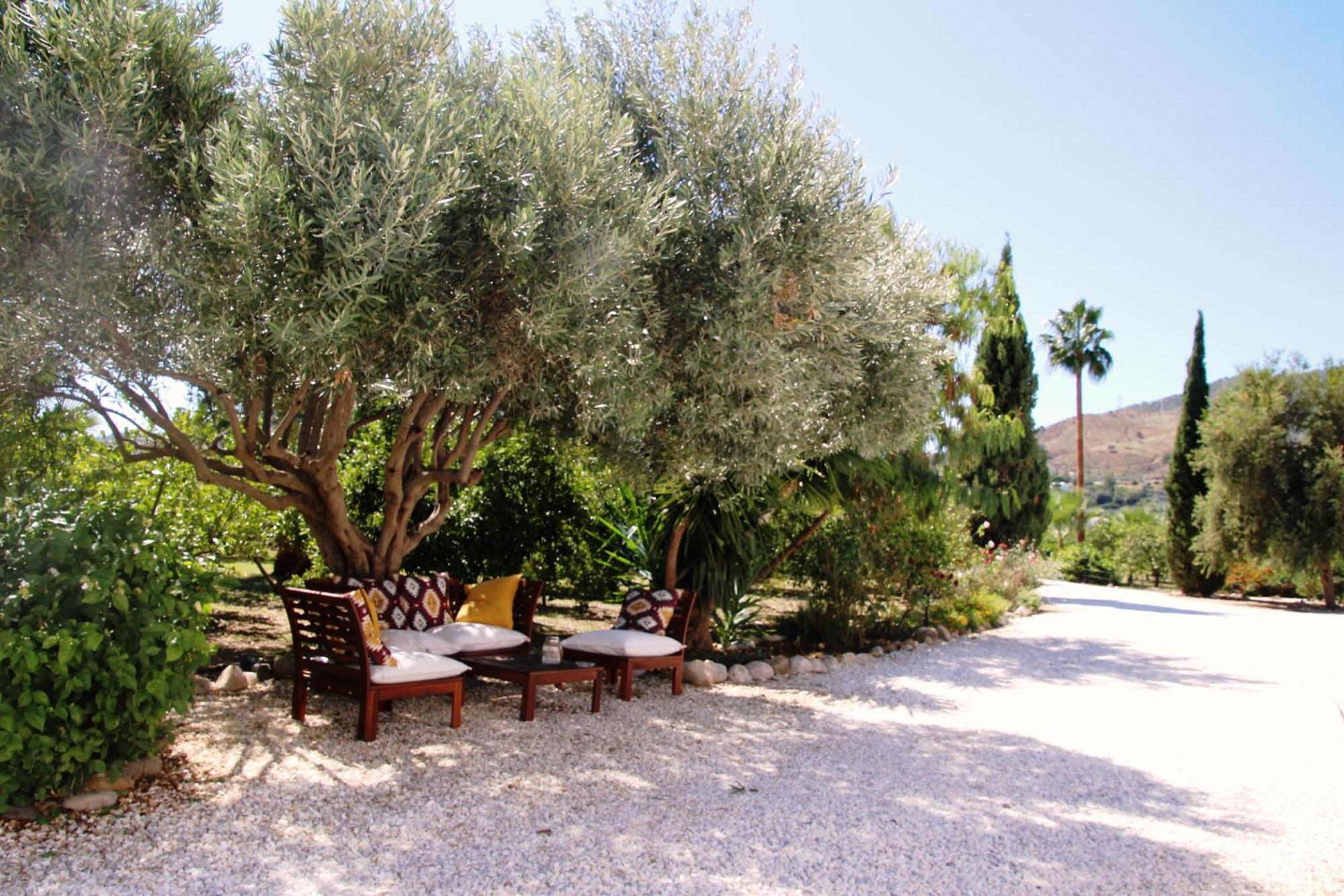 Finca El Limonar อะโลรา ภายนอก รูปภาพ