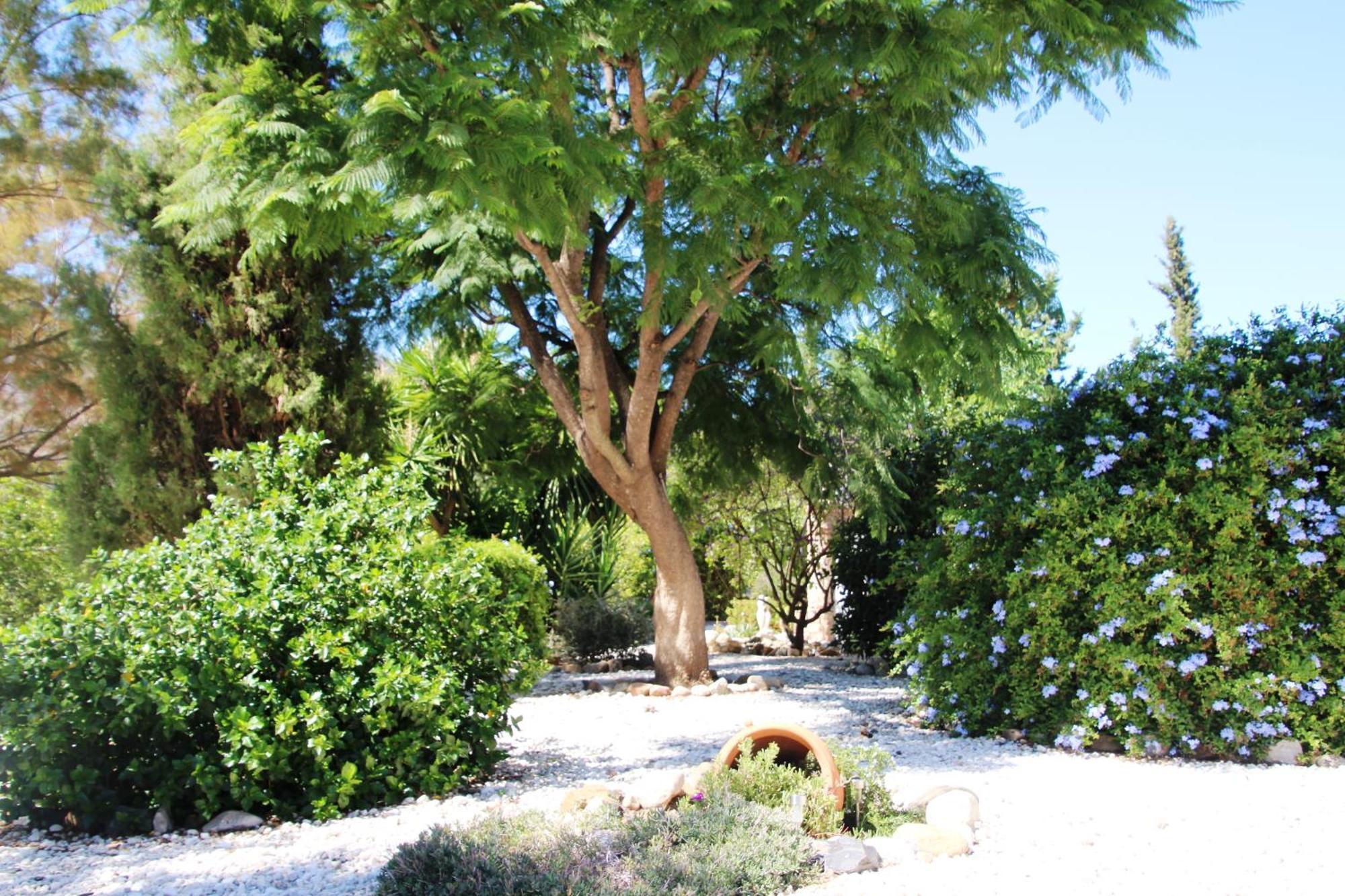 Finca El Limonar อะโลรา ภายนอก รูปภาพ